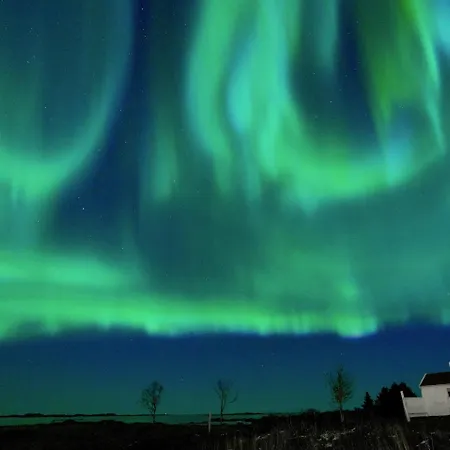 Seaside View Lofoten * Bostad
